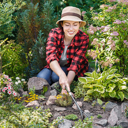 A166-5-ways-to-get-rid-of-weeds-without-chemicals