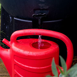How to Choose and Install a Rain Barrel
